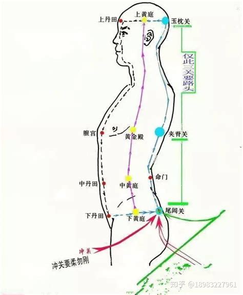 玄关穴|道家内丹之玄关一窍,玄关一窍的位置